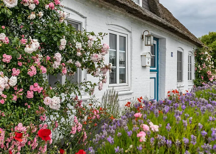 Mein Haus * Pellworm