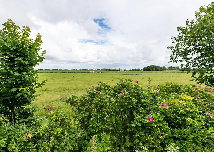 Mein Haus * Pellworm